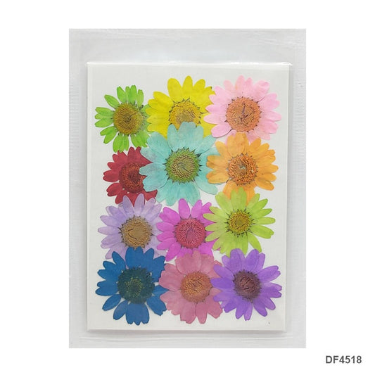 Pressed Flower DF4518