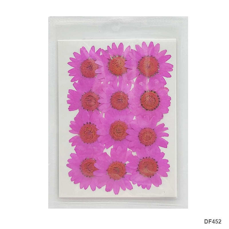 Pressed Flower DF452